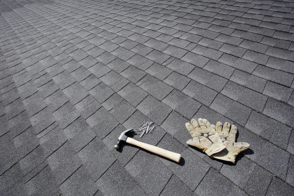 Professional Roofing Contractor Services Professional Roofing Contractor Services